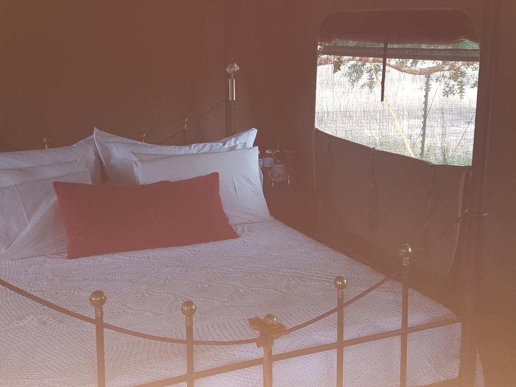 Hoopenburg Guesthouse Klapmuts Eksteriør bilde